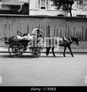 1950er Jahre, ein Mann mit Fetzen und Knochen auf seinem Pferd und Wagen, war er ein Straßenhändler, der unerwünschte Haushaltsgegenstände oder Altmetall wie alte Fahrräder sammelte. Stockfoto