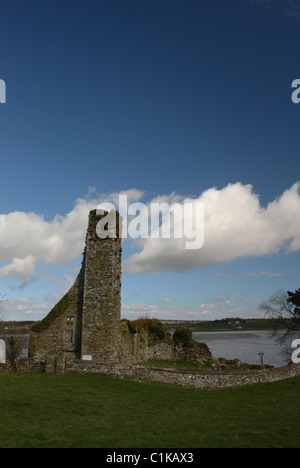 Zerstörten Abtei, Timoleague, County Cork, Irland. Stockfoto