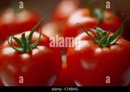 Nahaufnahme von Tomaten Stockfoto