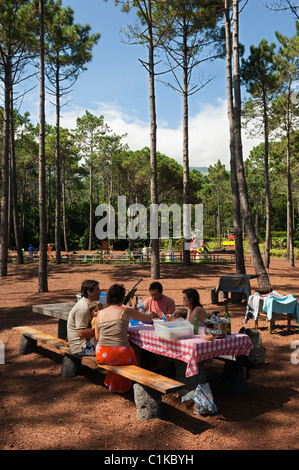 Familien-Picknick in einem Park, Insel Pico, Azoren Stockfoto