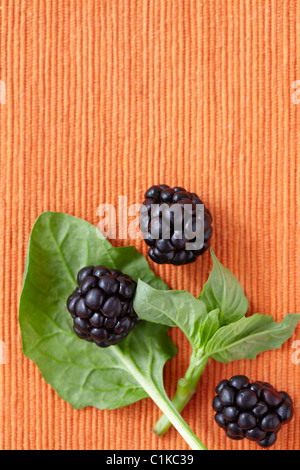 Brombeeren und Basilikum Stockfoto