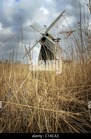 Herringfleet Wind Pumpe norfolk Stockfoto