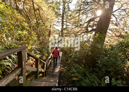 Frau, Wandern im Regenwald, Florencia Bay, Tofino, Vancouver Island, British Columbia, Kanada Stockfoto