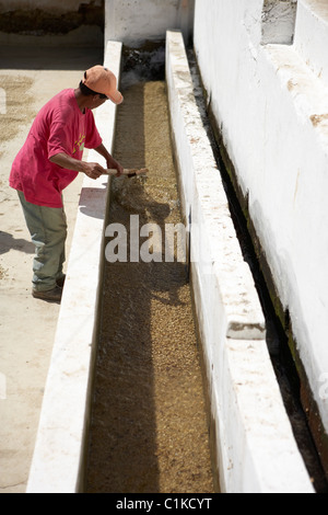 Arbeiter waschen Finca Vista Hermosa Kaffeeplantage, Agua Dulce, Kaffeebohnen, Huehuetenango Abteilung, Guatemala Stockfoto