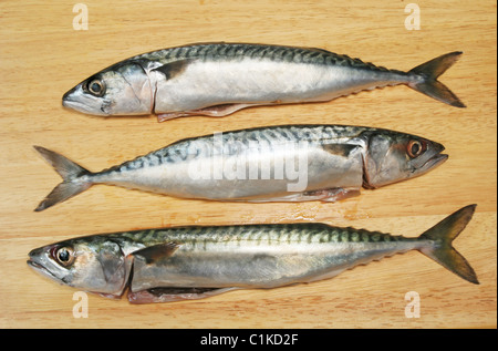Drei Makrele Fisch auf einem Holzbrett Stockfoto