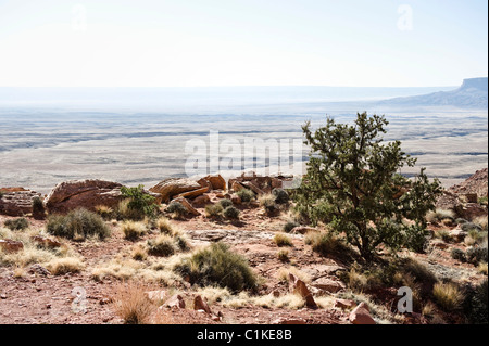 Blick auf Wüste vom Highway 89, Navajo Indian Reservation, Navajo County, Arizona, USA Stockfoto