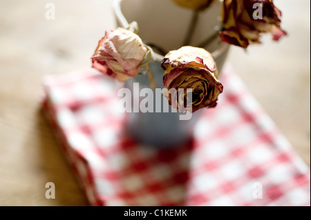 Getrocknete Rosen Stockfoto