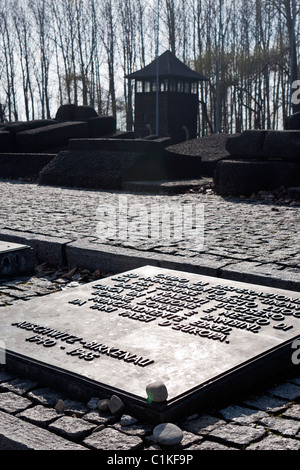 Denkmal-Plaketten an Auschwitz II-Birkenau, Polen. Stockfoto