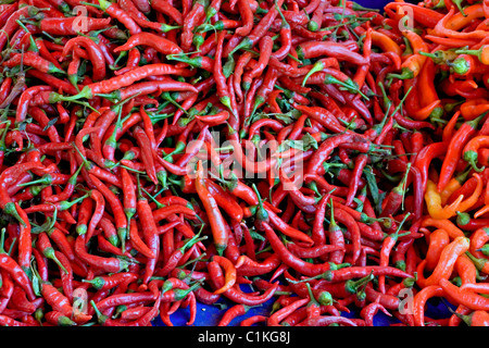Hot Chili Peppers auf einem Marktstand Stockfoto