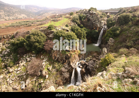 Israel, Golan-Höhen, Saar Bach und Wasserfall Naturschutzgebiet Stockfoto