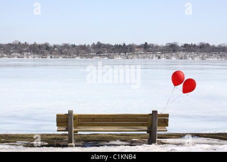 Zwei rote Ballons auf einer Parkbank mit Blick auf einem zugefrorenen See in Minneapolis. Stockfoto