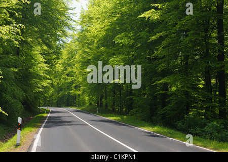 Straße in Frühling, Oberbessenbach, Spessart, Bayern, Deutschland Stockfoto