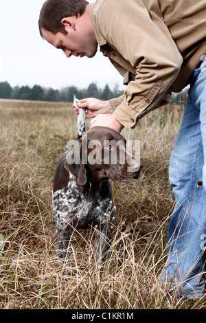 Mann überprüfen Hundeschwanz, Houston, Texas, USA Stockfoto