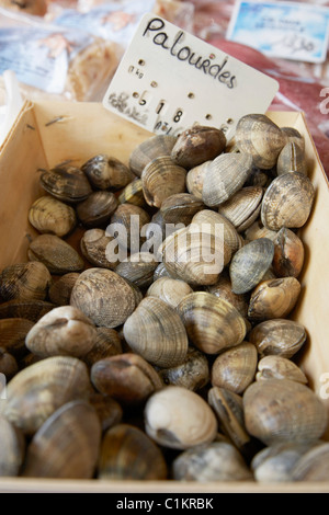 Muscheln am Markt, St. Tropez, Var, Provence, Provence-Alpes-Côte d ' Azur, Frankreich Stockfoto