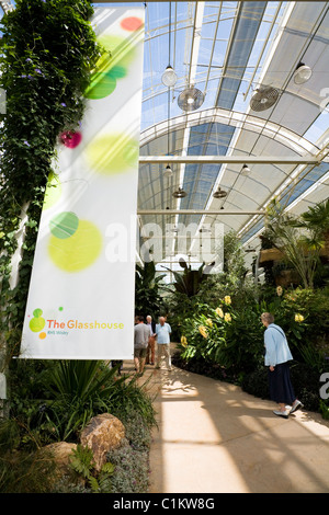 Gemäßigten Zone in The Glasshouse in RHS Zentrale / HQ bei Wisley. Surrey. VEREINIGTES KÖNIGREICH. Stockfoto