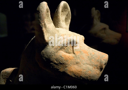 China, Shanghai, Shanghai Museum, Hund Keramik, östliche Han, Ad 25 220 Stockfoto