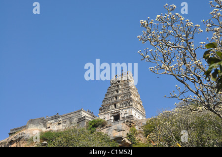 Lord Narasimha Swamy Hindu Tempel Melukote Stockfoto