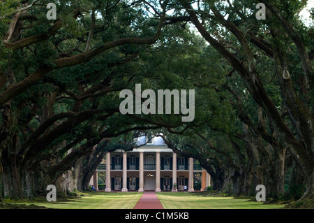 Oak Alley Plantation befindet sich auf dem Mississippi River in der Gemeinschaft Vacherie, Louisiana, USA. Stockfoto