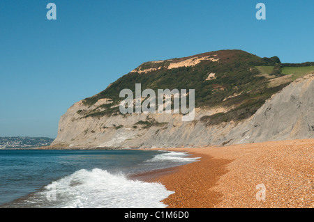 Die Erbse-Kiesstrand an der einladendsten, in der Nähe von Bridport, Dorset, UK. Ansicht West Golden Cap, Hügel mit Greensand Felsen begrenzt. Stockfoto