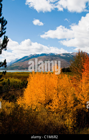 Colter Bay, Lauch Marina, Espen in Herbstfarben, Farben, Jackson Lake, Mount Moran, Teton Range, Grand-Teton-Nationalpark in Wyoming Stockfoto