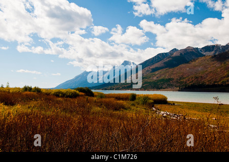 Colter Bay, Lauch Marina, Espen in Herbstfarben, Farben, Jackson Lake, Mount Moran, Teton Range, Grand-Teton-Nationalpark in Wyoming Stockfoto