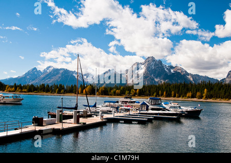 Colter Bay, Lauch Marina, Espen in Herbstfarben, Farben, Jackson Lake, Mount Moran, Teton Range, Grand-Teton-Nationalpark in Wyoming Stockfoto