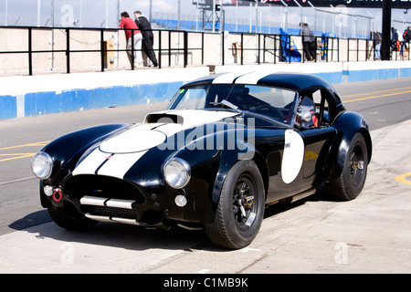 Shelby Cobra Rennwagen Stockfoto