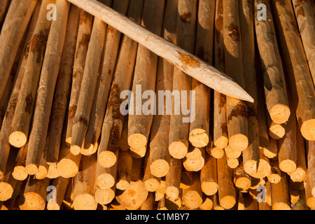 Geschärfte Holzpfosten für Zäune verwendet , Finnland Stockfoto