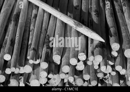 Geschärfte Holzpfosten für Zäune verwendet , Finnland Stockfoto