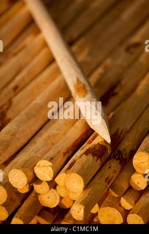 Geschärfte Holzpfosten für Zäune verwendet , Finnland Stockfoto