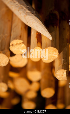 Geschärfte Holzpfosten für Zäune verwendet , Finnland Stockfoto