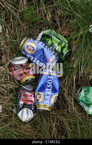 leere Bierdosen auf dem Rasen Stockfoto