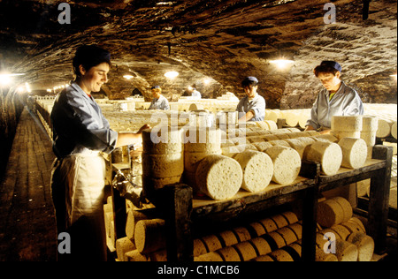 Frankreich, Aveyron, Societe Roquefort Unternehmen ließen sich in Höhlen, Roquefort (AOC) Stockfoto