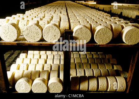 Frankreich, Aveyron, Societe Roquefort Unternehmen ließen sich in Höhlen, Roquefort (AOC) Stockfoto