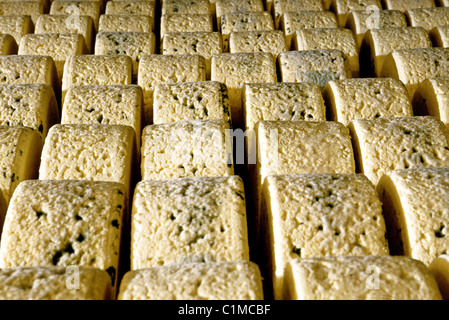 Frankreich, Aveyron, Societe Roquefort Unternehmen ließen sich in Höhlen, Roquefort (AOC) Stockfoto