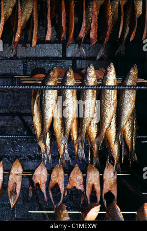 ausgehärtete Makrelen und Fischfilets zum Verkauf an der Ostsee in Mecklenburg - Western Pomerania, Deutschland Stockfoto