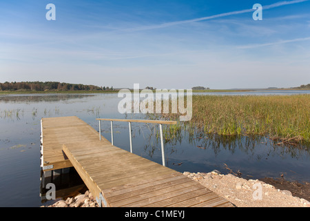 Holzsteg durch Võrtsjärv See in Vooremäe, Valga County, Estland Stockfoto