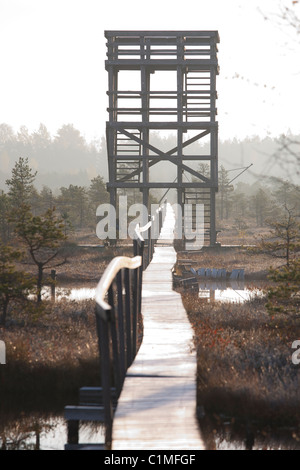 Hölzernen Wachturm in Misty Männikjärve Moor, Jõgeva County, Estland Stockfoto