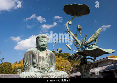 Bronze Lotus-Pflanze vor der Daibutsu (großer Buddha) von Kamakura, Japan Stockfoto