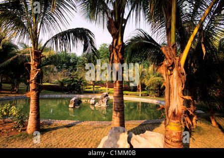 China, Yunnan Provinz, Region Xishuangbanna, Jinghong, Garten mit tropischen Blumen und Pflanzen Stockfoto