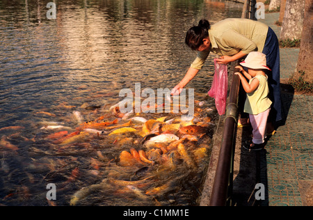 China, Yunnan Provinz, Region Xishuangbanna, Jinghong, Garten mit tropischen Blumen und Pflanzen Stockfoto