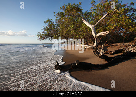 Playa Avellanas, Halbinsel Nicoya, Costa Rica Stockfoto