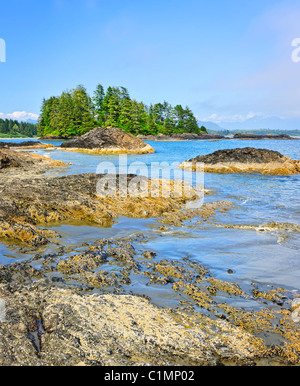 Felsigen Ozean Küste im Pacific Rim National Park, Kanada Stockfoto