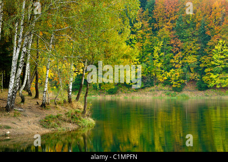 Herbst-Saison am Lokvarsko See, Kroatien Stockfoto