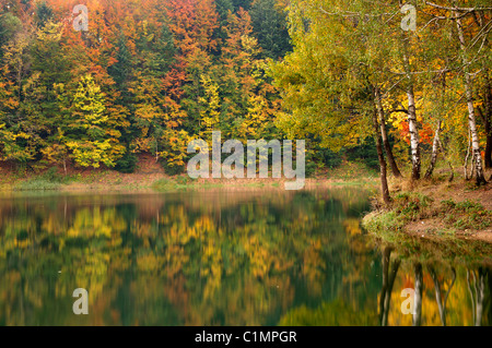 Herbst-Saison am Lokvarsko See, Kroatien Stockfoto