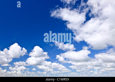 Hintergrund des blauen Himmels mit weißen Cumulus-Wolken Stockfoto