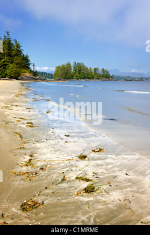 Long Beach im Pacific Rim National Park, Vancouver Island, Kanada Stockfoto