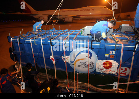 Weltweit größte Fisch geliefert von Jumbo Jet zwei Walhaie sind zu einem Aquarium in Qingdo, China, geliefert von Jumbo Jet in eine Stockfoto