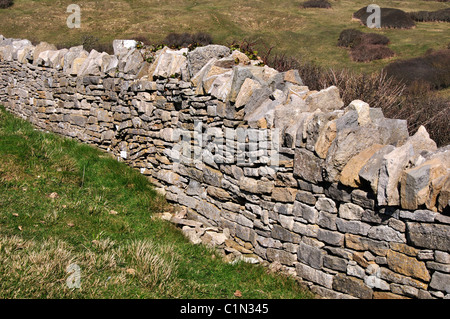 Eine Trockenmauer gemacht aus Purbeck Stein im Durlston Country Park, Dorset UK Stockfoto