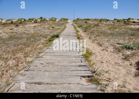 Hölzerne Pfad durch die Dünen. Strand Oliva. Comunidad Valenciana. Spanien Stockfoto